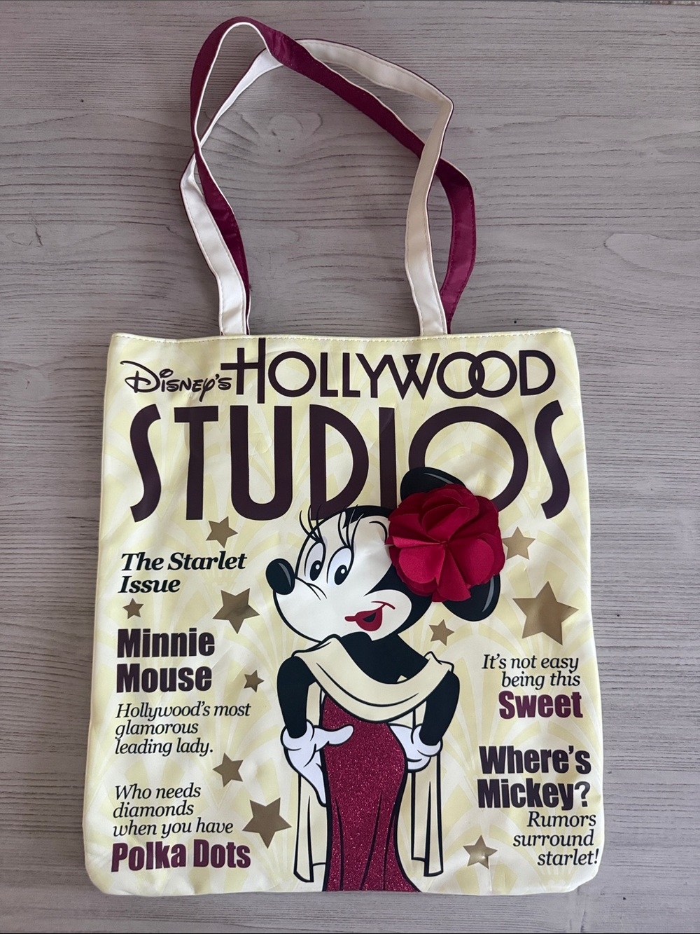 Disney Hollywood Studios Tote